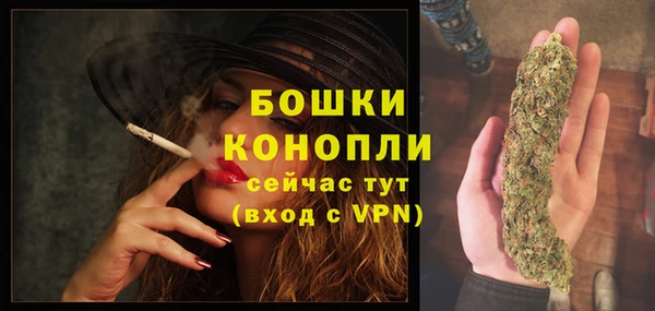 соль ск Балахна
