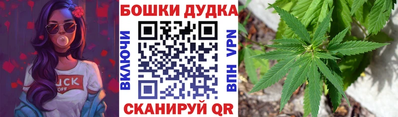 цены наркотик  Волоколамск  Шишки марихуана AK-47 